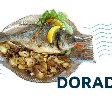 Dorade