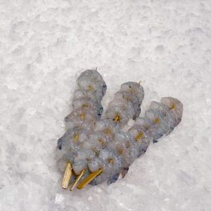 Garnelenspieße frisch Garnelenspieße frisch